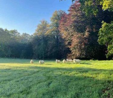 Scotshouse Casa | Newly renovated Cottage with private trout fishing set in beautiful wildlife estate