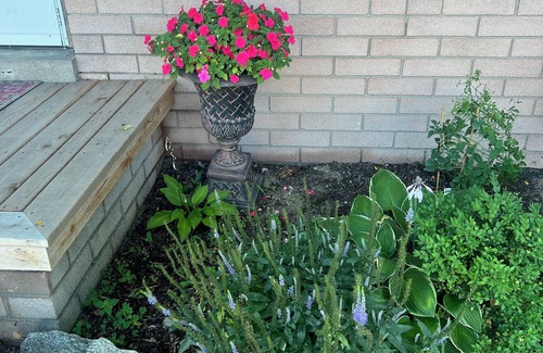 Midland Casa | Newly renovated Quiet neighborhood 4 bedroom 2 bath house in delightful Midland