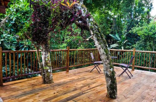 Ponte Branca Casa | News Hospedagem