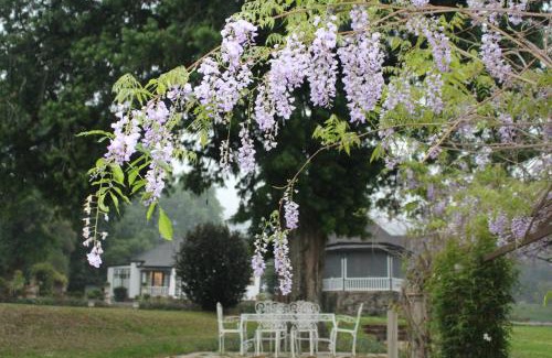 Curry's Post Casa | Newstead Farm - Country Cottages