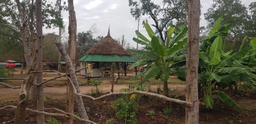 Ubena Bwawani Cabina | Ngerengere River Eco camp