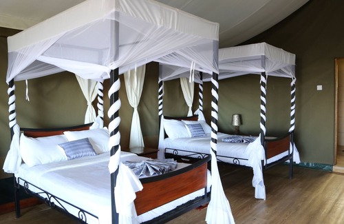 Ngorongoro Conservation Area Cabina | Ngorongoro Wild Camps