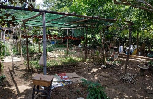 Cam Kim Casa | Nguyen Duy homestay