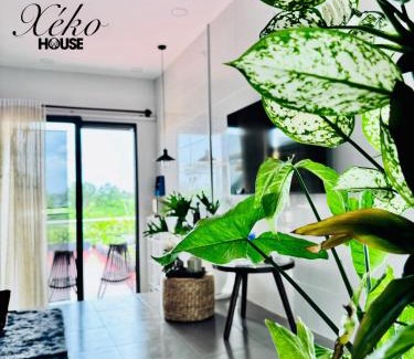 Ben Tre Apartamento | Nhà có sân thượng cây xanh view đẹp không gian yên tĩnh