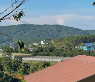 Da Lat Apartamento | Nhà Dưới Đồi Homestay
