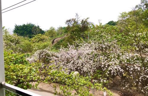 Dien Bien Phu Casa | Nhà nghỉ Tâm Cường