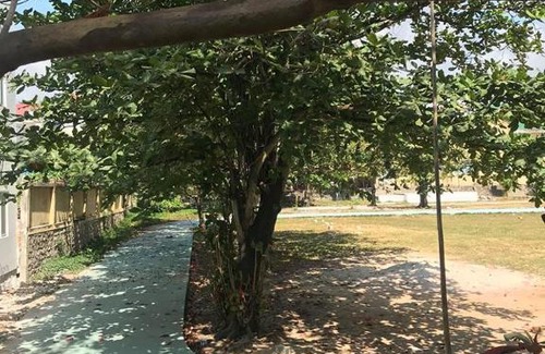La Gi Casa | Nhà Nghỉ Trinh Uy