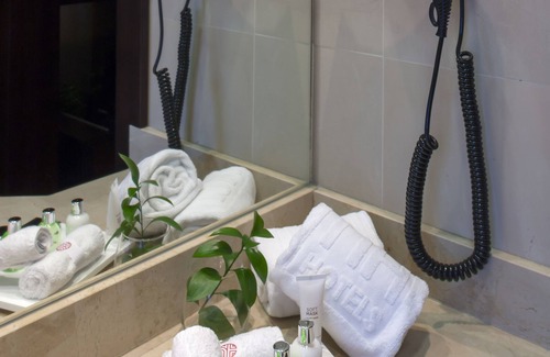 Centro de Granada Hotel | NH Collection Granada Victoria Hotel