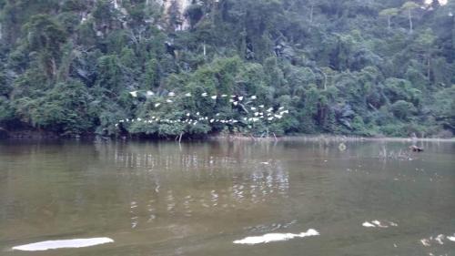 Nam Mau Casa | Nha Nghi Son Lam - Panorama lake view
