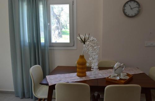 Fiolitis Apartamento | Niaros' House