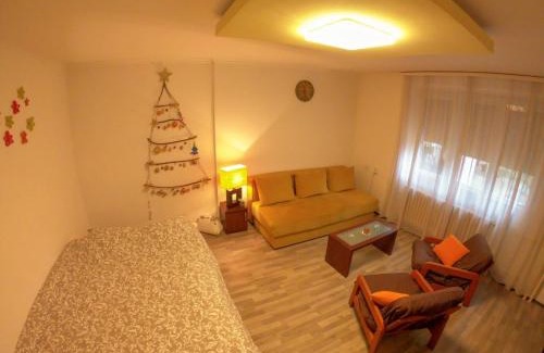 Novi Sad Apartamento | Nica Apartman Novi Sad
