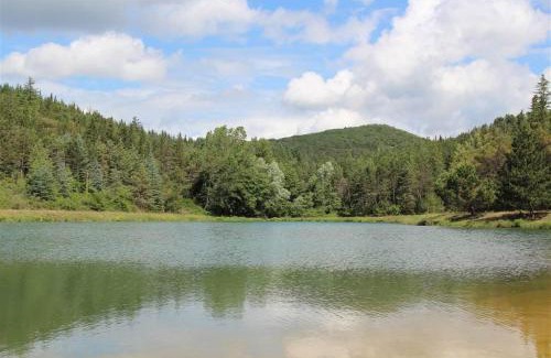 Gaiole in Chianti Apartamento | Nicchio