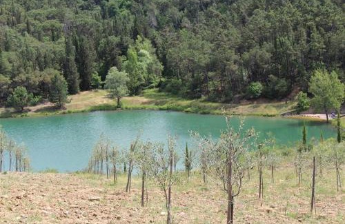 Gaiole in Chianti Apartamento | Nicchio