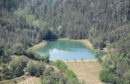 Gaiole in Chianti Apartamento | Nicchio