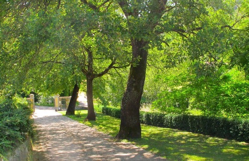 San Giovanni Valdarno Apartamento | Bonito apartamento para 4 personas con WIFI, piscina, TV, mascotas permitida y aparcamiento