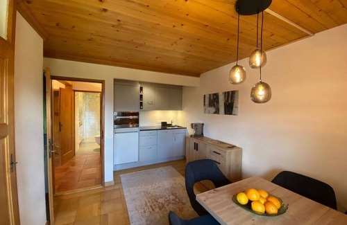 Schoenried Apartamento | Nice apartment for 3 guests with WIFI and pets allowed