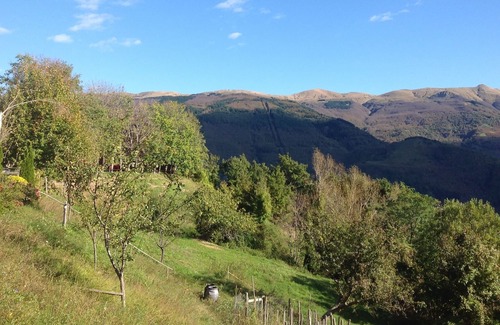 Cutigliano Apartamento | Bonito apartamento en el campo con piscina