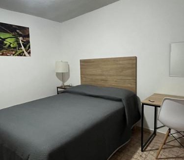 Aguascalientes Apartamento | nice comfortable house an excellent location,