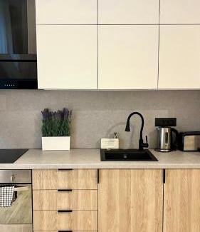 Bucharest City-Centre Apartamento | NIce Flat in Villa Near Old Town