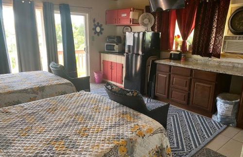 Kehena Apartamento | Nice Studio w/AC near Kehena Beach and lava fields