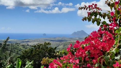 Riviere-Salee Apartamento | Nid d'Aigle Tropical
