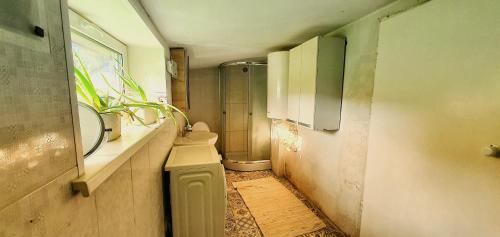 Zemgale Apartamento | Nidra