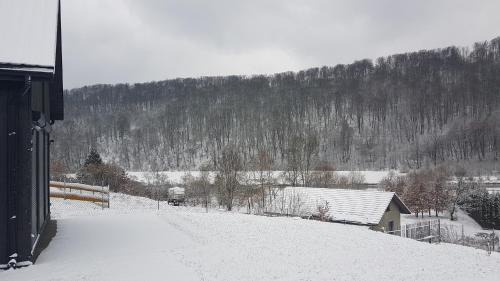 Olszanica Casa | Nie Przeciągaj Struny