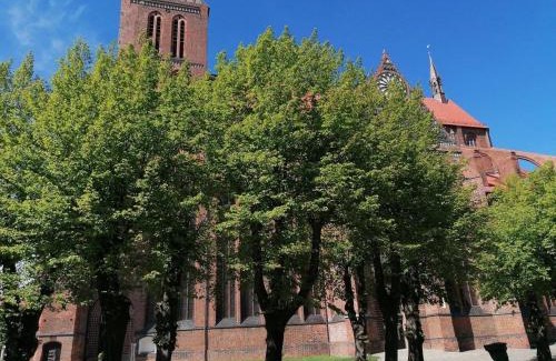 Wismar Apartamento | NikolaiTraum in der Altstadt - ebenerdig - ABC295