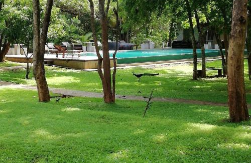 Embilipitiya Hotel | Nildiya Riverside Safari Hotel