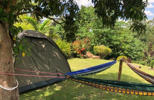 Jinja Otro | Nile it Resort