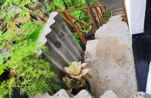 Hettimulla Casa | Nilupul Villa