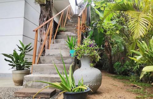 Hettimulla Casa | Nilupul Villa