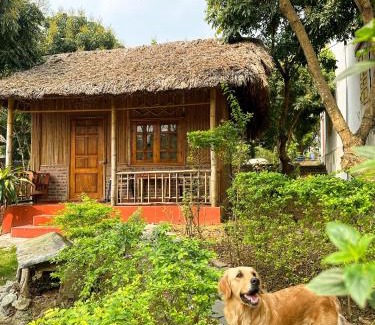 Gia Vien Casa | Ninh Binh Bamboo Farmstay