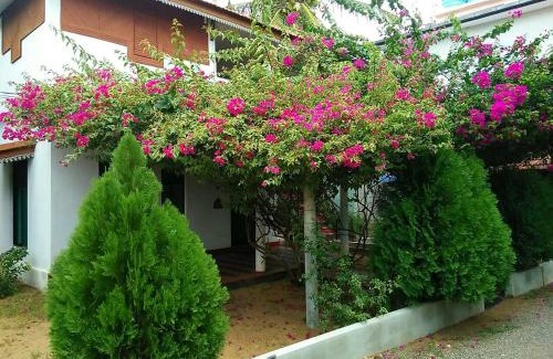 Kalkudah Complejo | Nirmaa Shadow Inn