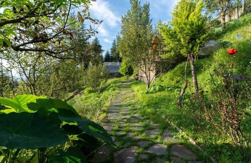Rajgarh Cabaña | Nirvana Dhar Nature Resort