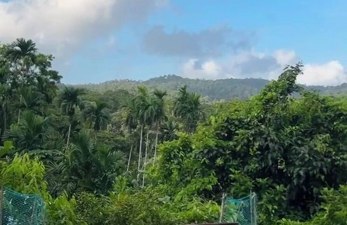 South Andaman District Cabaña | NIRVANA TARA FARMSTAY