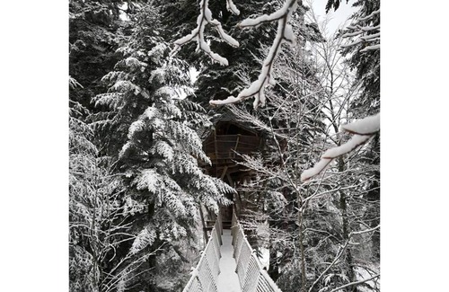 La Tour-dʼAuvergne Cabina | Cabane Nis dau Sapï-Cabaña de madera-Baño Privado-Vista al bosque