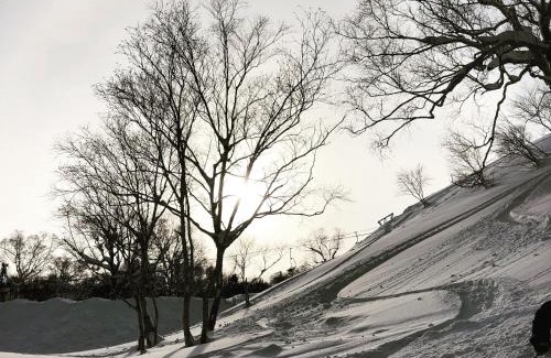 Niseko Cama Y Desayuno | Niseko Kashinoya