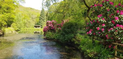 Liskeard Casa | No 4 Trelawney Apartment - Onsite Bar - Restaurant - Horse Riding