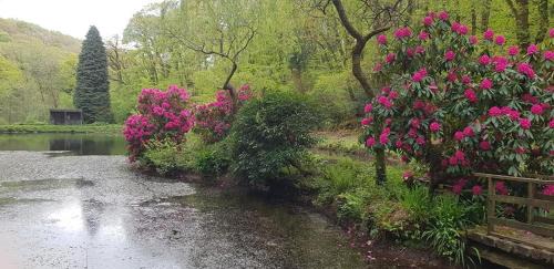 Liskeard Casa | No 4 Trelawney Apartment - Onsite Bar - Restaurant - Horse Riding