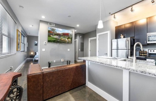 Roanoke Apartamento | No Cleaning Fee! Prime Location Downtown Luxurious