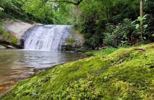 Marshall Cabina | "No Crowds"-120 Private acres, Waterfall, streams and lots of hiking trails