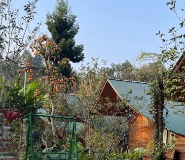 Bac Ha Casa | Nobita Homestay bắc hà