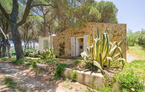Alia Casa | Nocellara