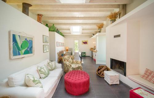 Alia Casa | Nocellara