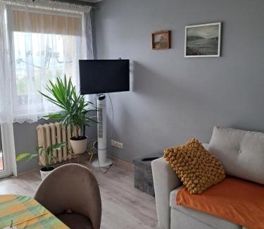 Zywiec Apartamento | Noclegi Mieszkanie Kuchnia Żywiec