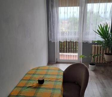 Zywiec Apartamento | Noclegi Mieszkanie Kuchnia Żywiec