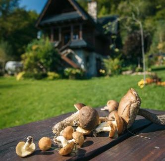Solina Casa | Noclegi Na Czakowie