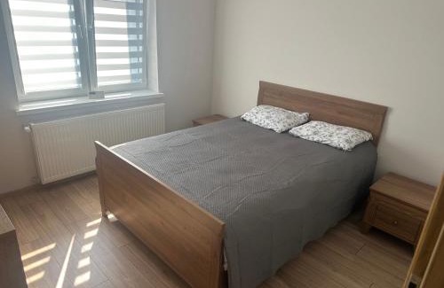 gmina Bodzechow Apartamento | Noclegi