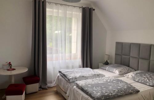 Duszniki Zdroj Apartamento | Noclegi pod kasztanem